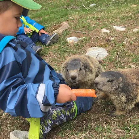 아파트 Sunshine 사스그룬트